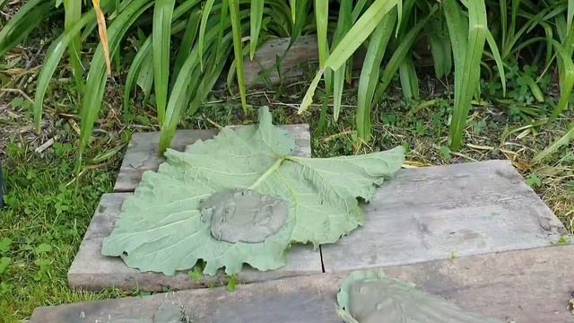 DIY / Листья из цемента для декора клумбы / Рукоделки смотреть онлайн