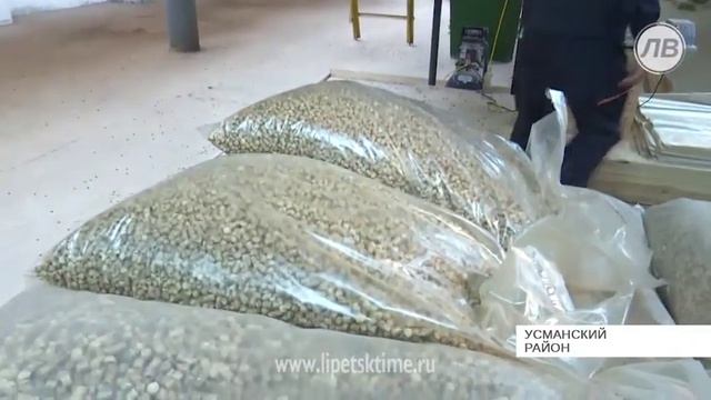 В Усманском районе производят экономичное топ... смотреть онлайн