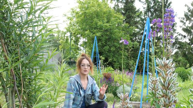 Ogród przyjazny PSZCZOŁOM i innym pożytecznym owadom zapylaczom