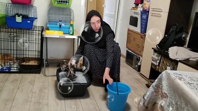 Помогите, спасите, SOOOS купают..... смотреть онлайн