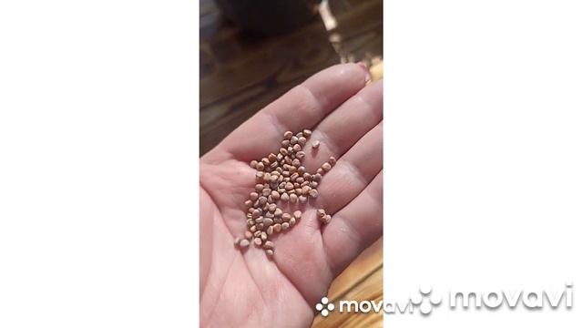 НАБОРЫ "ОН ПРОФИ-2" // ВАЦАП ДЛЯ ЗАКАЗА 8-915-245-81-59 ПИСЬМЕННО смотреть онлайн