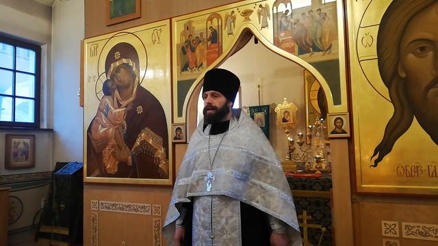 Вход Господень в Иерусалим. (Вербное воскресенье). 16.04.2022 Проповедь о.Димитрия Шульги смотреть онлайн