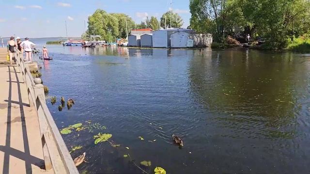 Переславль Залесский 07.08.23 | Золотое кольцо смотреть онлайн