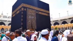 🕋🕌Самый Красивый и Полезный Нашид.Nasheed Allahu Akbar Subhanallah Alhamdulillah.Mekkah🕋🕌☝