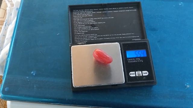 Как вырастить крупный виноград?