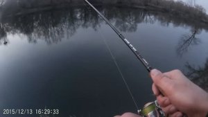 судак.дроп-шот в коряжнике