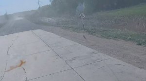 С Омска на Кулунду...