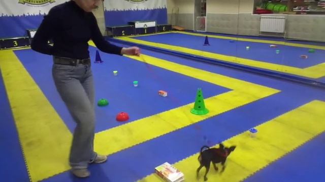 Бигги НоузВорк3 смотреть онлайн