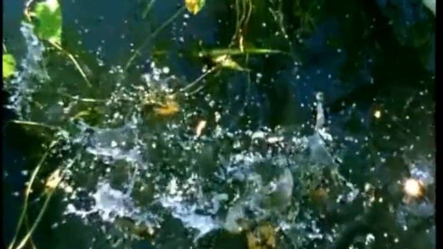 похороны смотреть онлайн