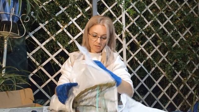 Vlog-196 Саженцы РОЗ из питомника ОЛЬГА-РОЗЫ. Как по мне, то лучший питомник1?????Обзор.