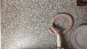 Сосиски молочные по ГОСТ 1947 года