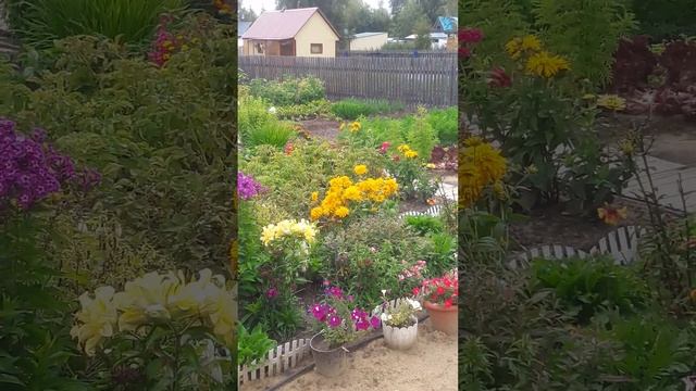 Сказочный сад- огород смотреть онлайн