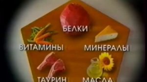 Реклама Kitekat Весенняя энергия 2004