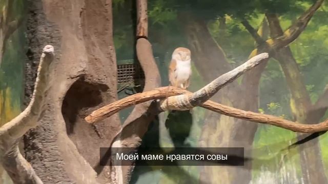 Как корейские школьницы школу прогуливают/KOREA VLOG