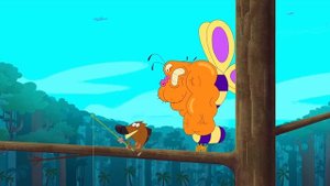 THE BERNIE SHOW - Catch a falling star (s02e30) - Zig & Sharko - Cartoons for Children