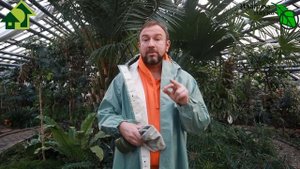 ДОКАЗАНО: КОМПОСТ, МУЛЬЧА и ГОРЯЧАЯ ТРАВА могут быть ОЧЕНЬ ОПАСНЫ!