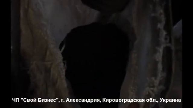 Вибропневмостол ВПС-1,5