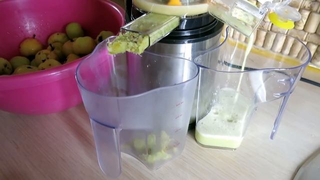 СОКОВЫЖИМАЛКИ. Какая лучше? Шнековая или центрифужная