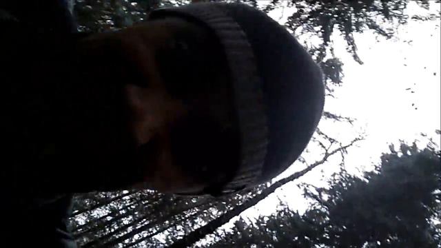 золото Франции Сентябрь 14, 2017.Коп в лесу. смотреть онлайн