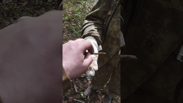 Нашли наконечник стрелы в лесу #shorts #другаяжизнь #metaldetecting #наконечникстрелы #находки