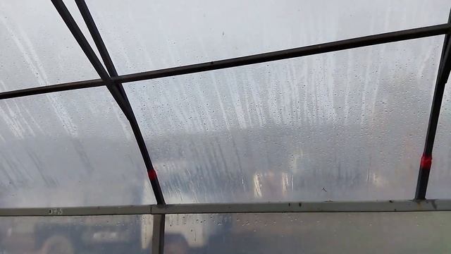 Теплица. Как самому собрать фермерскую теплицу. Часть 1.