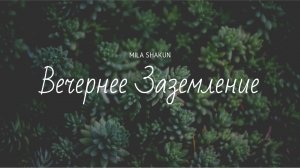 Практика Вечернего Заземления. Автор David Router.