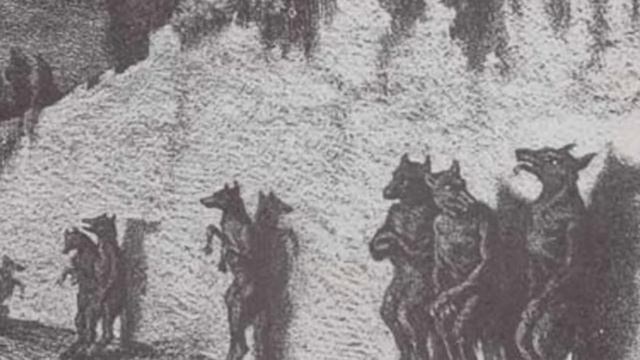 Дело об оборотнях / Werewolves