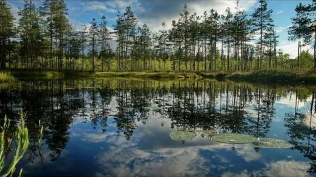 Звуки Природы Спокойная Музыка Для Релаксации