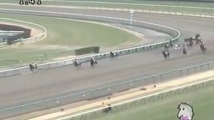 Самая ужасная катастрофа на скачках в Японии