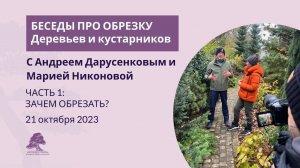 Зачем обрезать деревья?