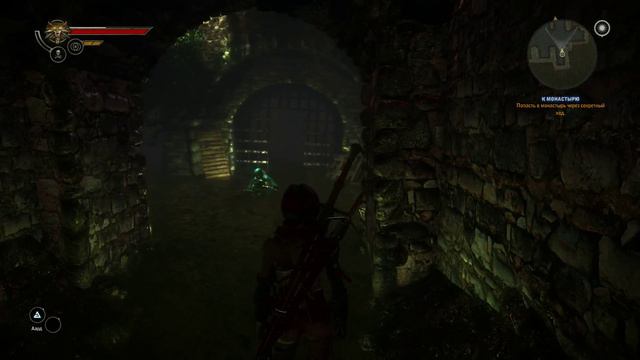 witcher2 Play as Triss 4