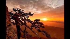 На севере диком...