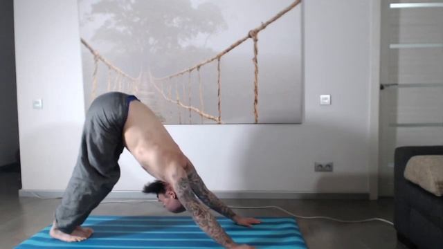 Адаптивная последовательность перевернутых поз смотреть онлайн