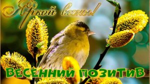 Весенний позитив!  Пришел март, запели кошки... и я подпеваю им немножко.