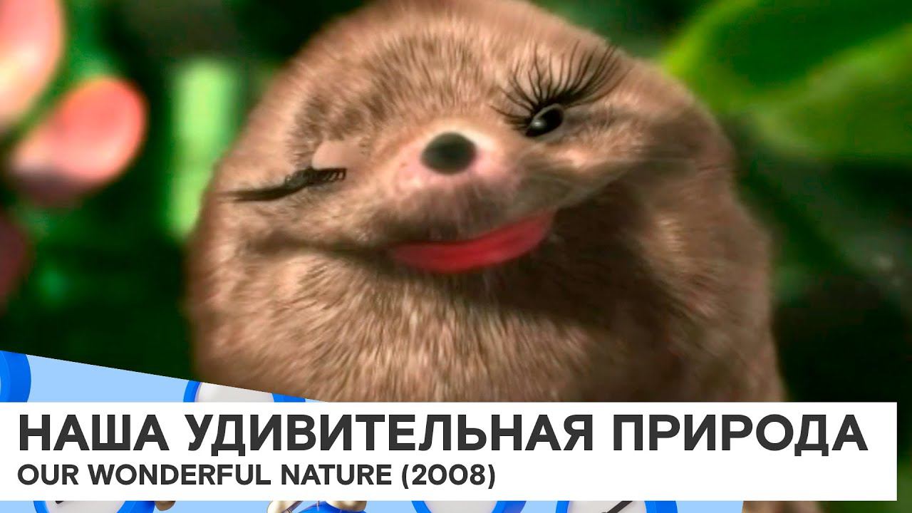 «Наша удивительная природа» (Our Wonderful Nature/ Германия / анимация/ 2008/ 4 мин/ Tomer Eshed)