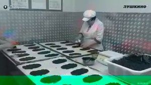 #КАРАВАЙ_СВ КАРАВАЙ-СВ  САМЫЙ ЛУЧШИЙ ХЛЕБ В РОССИИ 👍👍👍👍👍👍👍👍👍