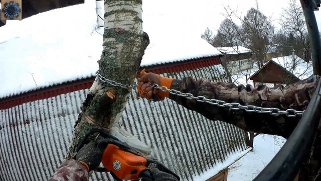 Спил деревьев!Береза 17 метров.Как свалить дерево в труднодоступном месте,не чему не навредив. смотреть онлайн