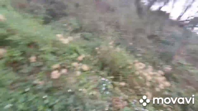 участок. Центральный район ул Промышленная смотреть онлайн