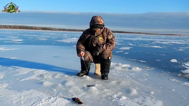 Зимняя рыбалка.Ловим окуня по навигатору. смотреть онлайн