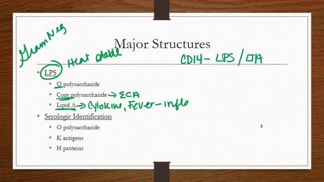 Enterobacteriaceae смотреть онлайн