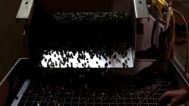 How Olive Oil Is Made! ОЛИВКОВОЕ МАСЛО - ПРОИЗВОДСТВО!