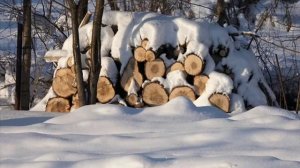 Мужичок с ноготок (песня)