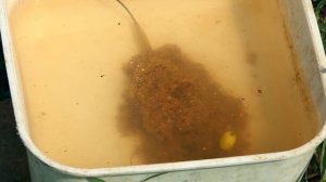 Трофейный САЗАН и ФЛЭТ- фидер / Юра Лисовский на Нижней Волге.