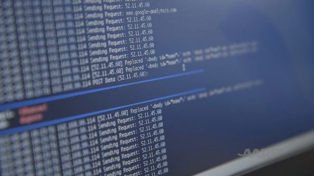 Dark Web Browsing Made Possible by This Guy смотреть онлайн