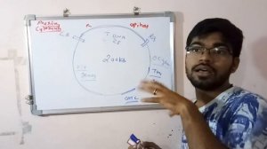 Ti Plasmid / agrobacterium genetics / vir regulon in Hindi