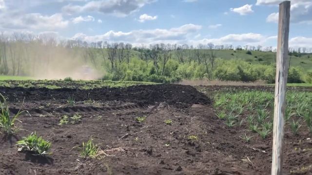 Сеем люцерну на 30 сотках смотреть онлайн