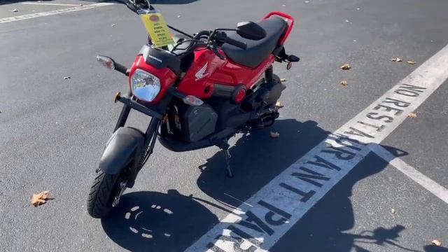 Contra Costa Powersports-Used 2023 Honda Navi 110 minimoto with auto transmission motorcycle смотреть онлайн