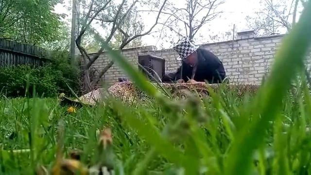 Видео второе, в котором Брат Машин проверяет дневное освещение и механику волн. смотреть онлайн