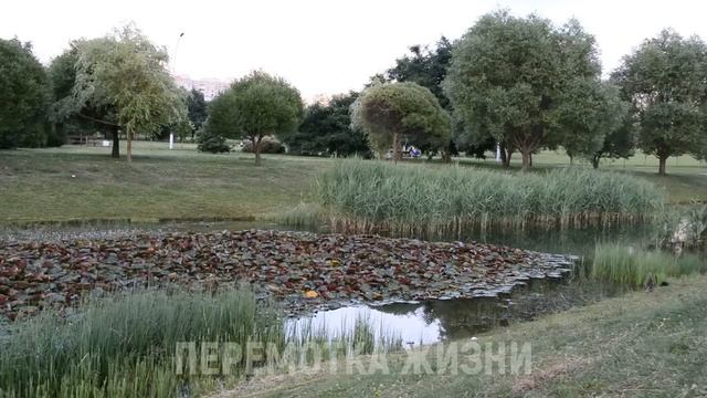 ЗАЙДИ ВЕЧЕРКОМ, ЗАПОМНИШЬ НА ВСЮ ЖИЗНЬ... Истории из жизни людей, Аудио рассказы смотреть онлайн