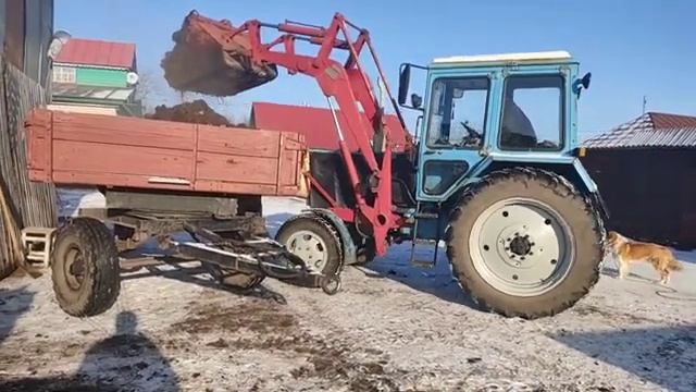 Работа на двух тракторах, вывоз навоза на МТЗ в огород. смотреть онлайн